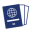 Travel Documents & Insurance