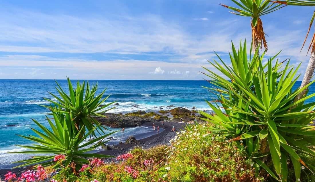 Tenerife Tours
