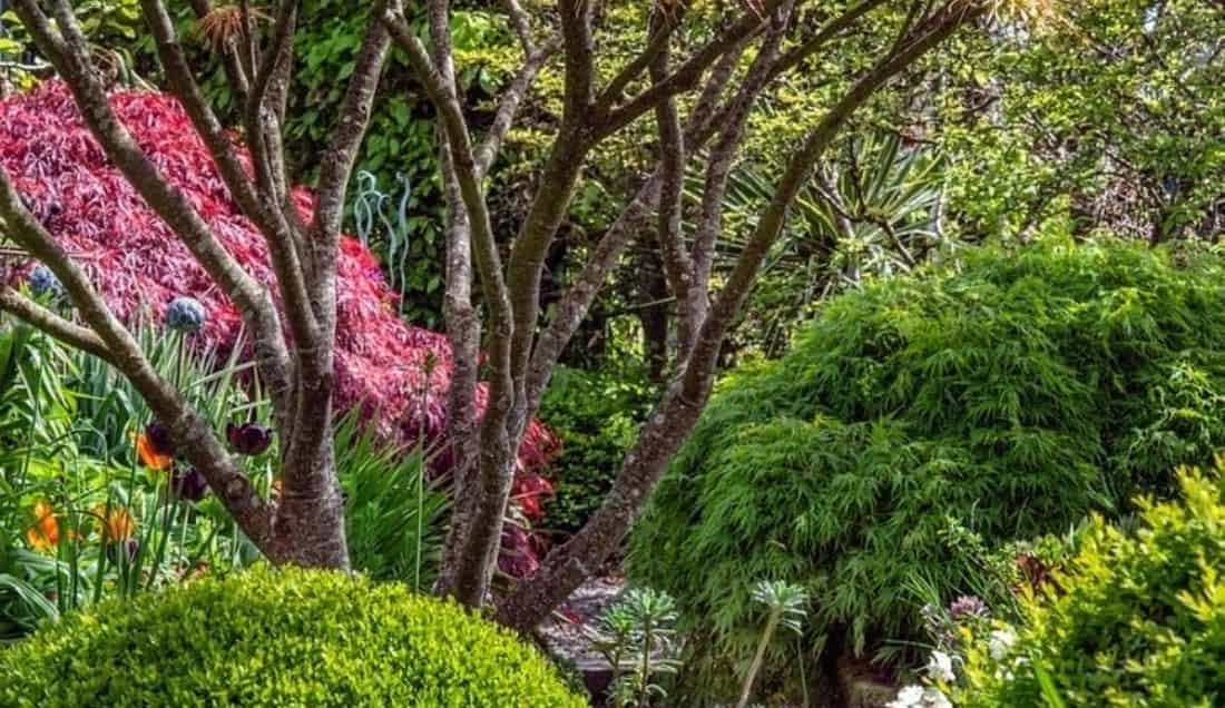 Gardens of Cork