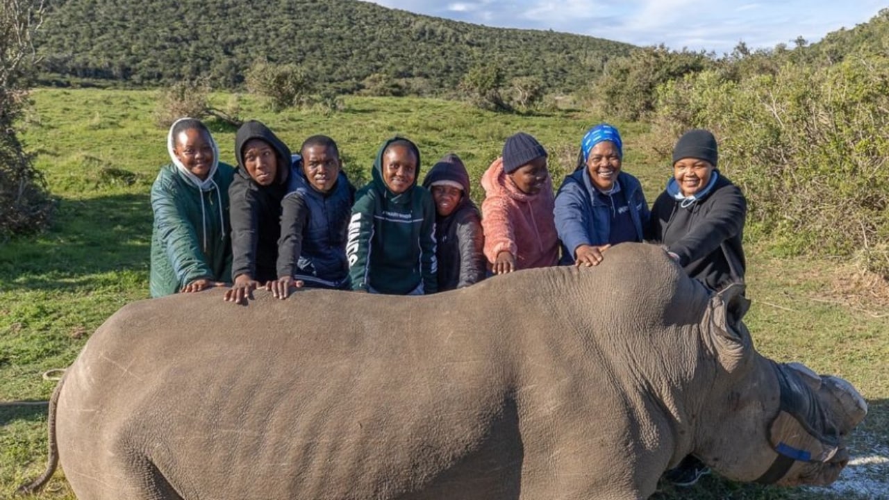 Kariega Foundation