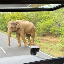 Yala National Park