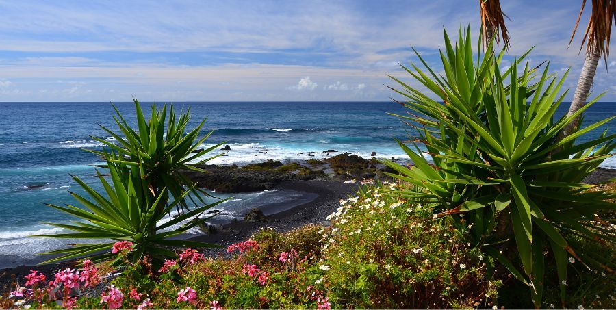 puerto-de-la-cruz-beach-tenerife.jpg