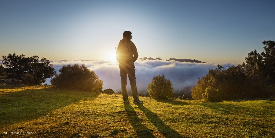Madeira-sunset.jpg