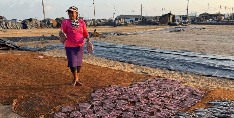dried-fish-drying-beach-negombo-sri-lanka.jpg