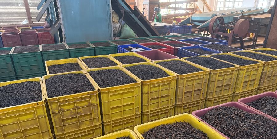 tea-factory-processing-sri-lanka-ceylon-tea.jpg