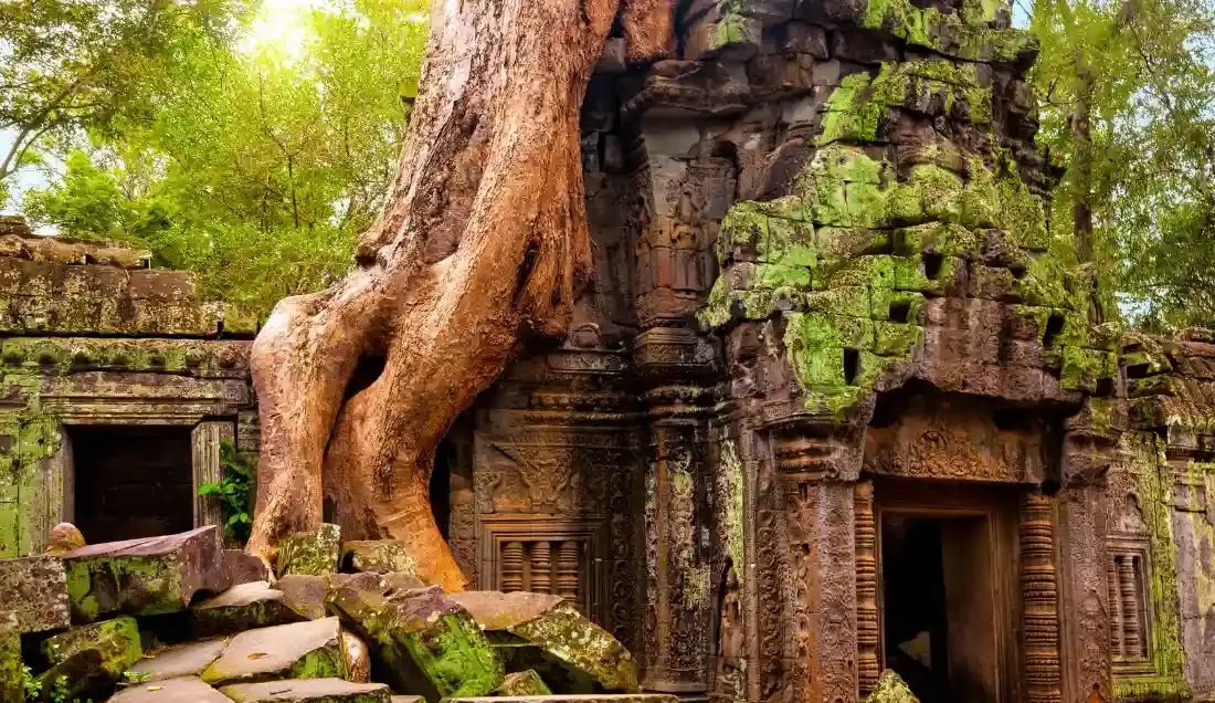 See the enchanting jungle temples in Ta Prohm