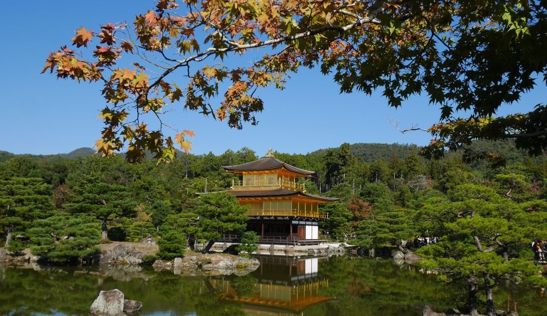 Discover the tranquil Kinkaku-ji - The Golden Pavilion