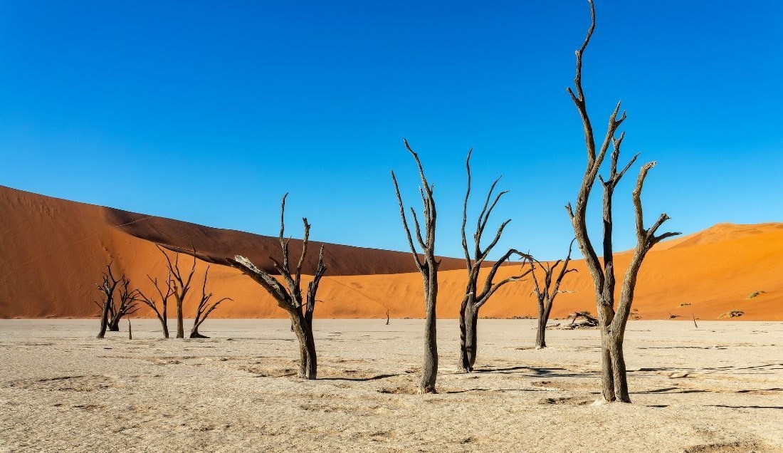 Experience the beauty of Deadvlei, with ancient trees and towering red dunes.