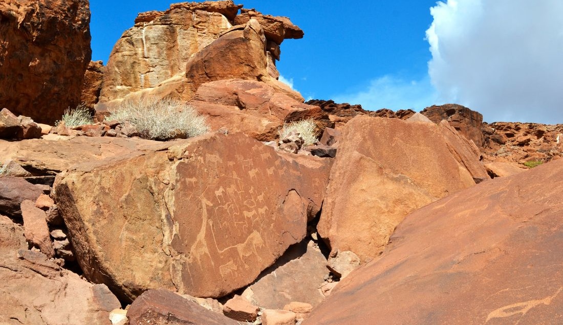 See incredible ancient rock carvings in Twyfelfontein.