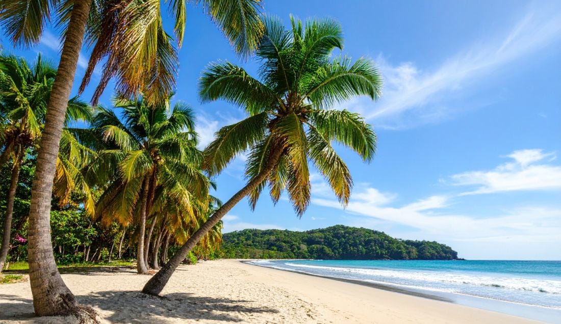 Relax in Tamarindo.