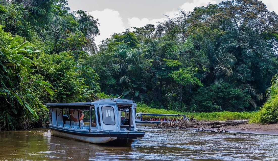 Enjoy a boat trip in Tortuguero national park.