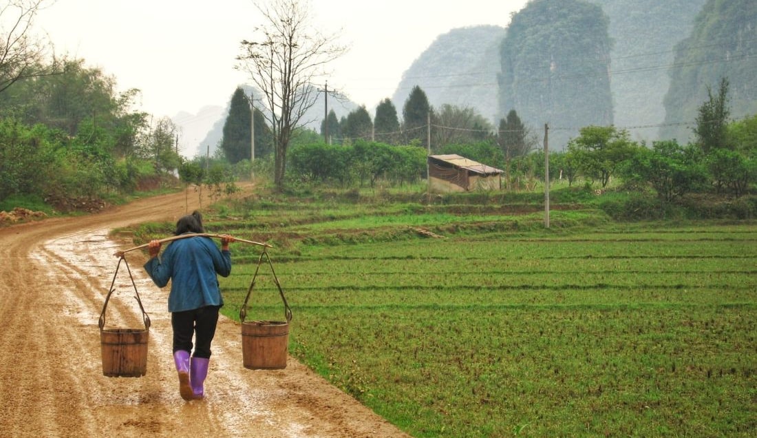 Farmer Carrying Water Buckets Through Rural China