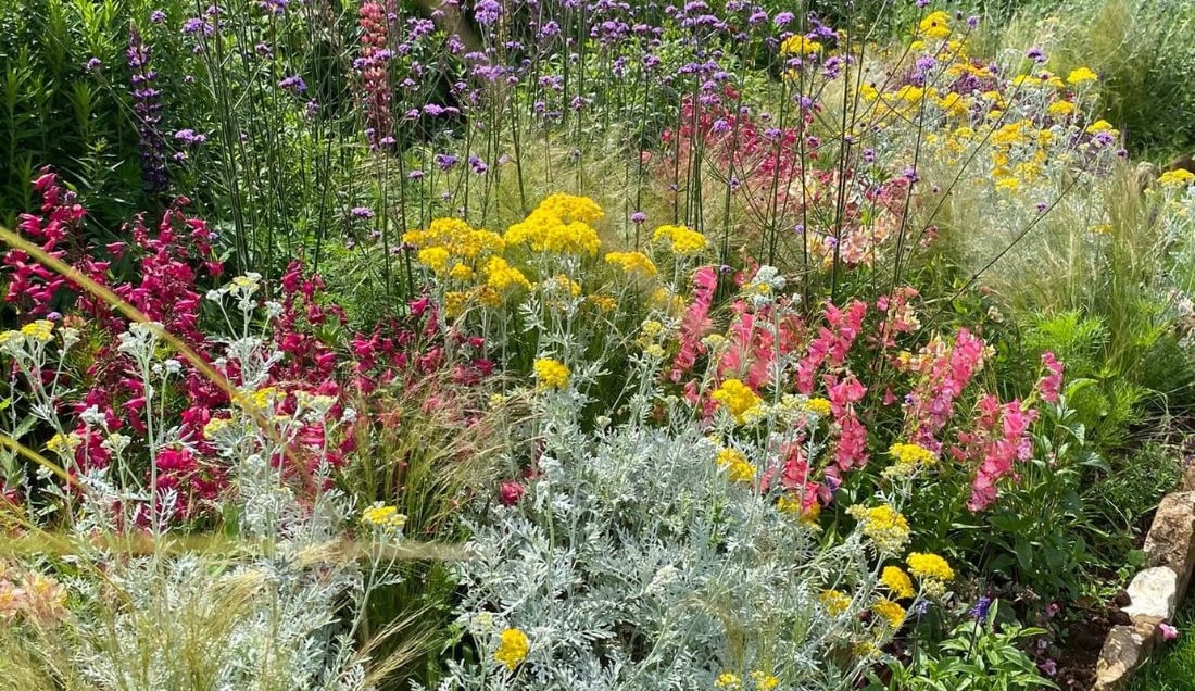 Discover the incredible prairie-style planting at Lady Farm.