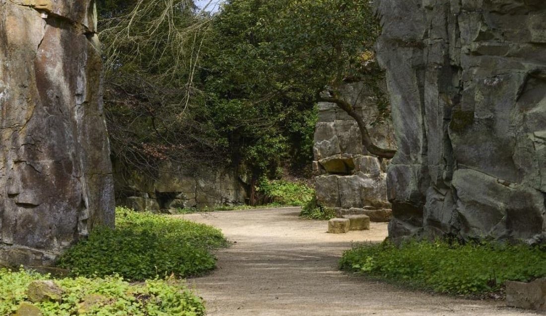 The Quarry Garden at Belsay Hall.