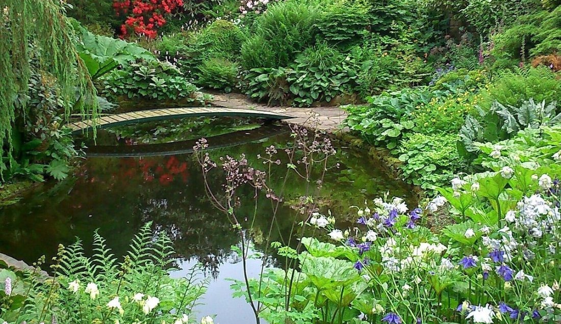 The pond garden at Bide-a-Wee Cottage.
