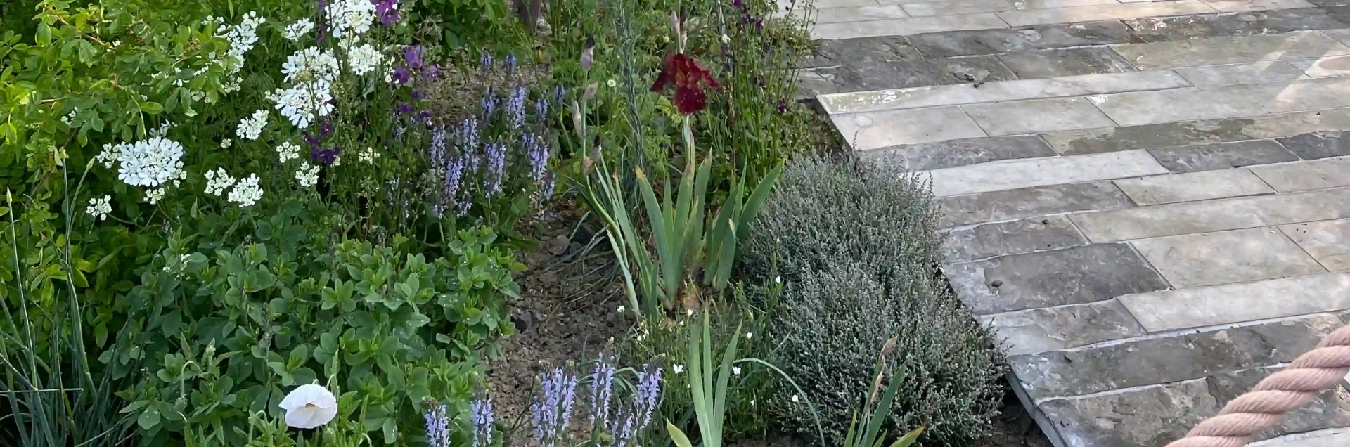 Enjoy exploring the RHS Chelsea Flower Show.