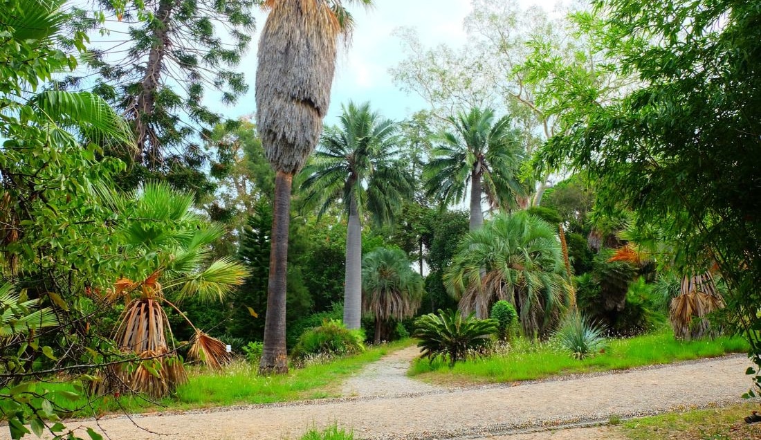 Discover Thuret Botanical Garden in Antibes.