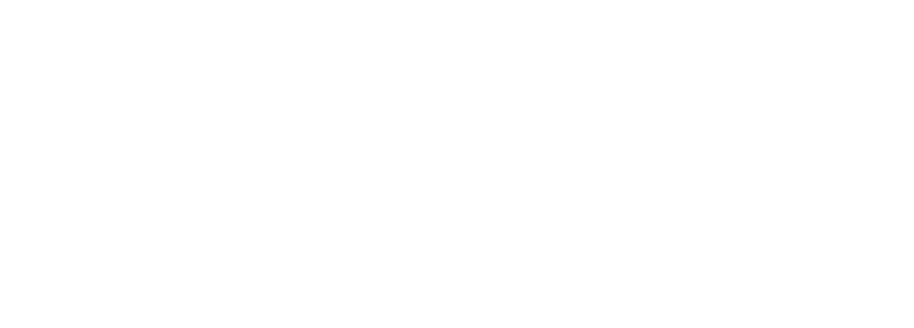 30 Years Anniversary Logo